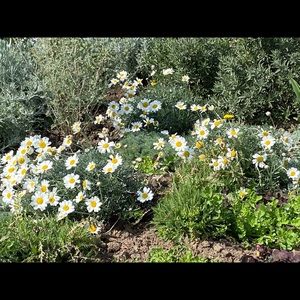 Meet your Posher, Sherry